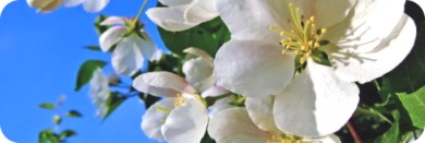 Мир! Труд! Май!