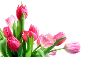 C праздником 8 марта!